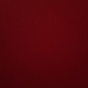 Meet your Posher, Darcy